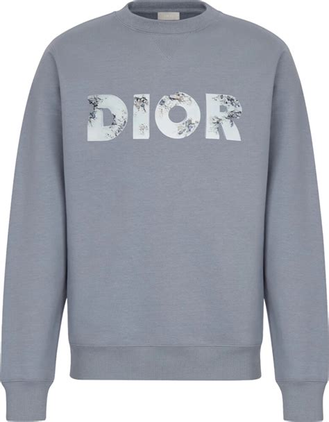 dior grey sweatshirt